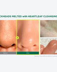 Heartleaf Pore Control Cleansing Oil - Expert Reviews on Blackhead Banishing Properties